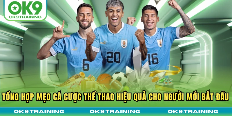 Tổng Hợp Mẹo Cá Cược Thể Thao Hiệu Quả Cho Người Mới Bắt Đầu 12 Tổng Hợp Mẹo Cá Cược Thể Thao Hiệu Quả Cho Người Mới Bắt Đầu