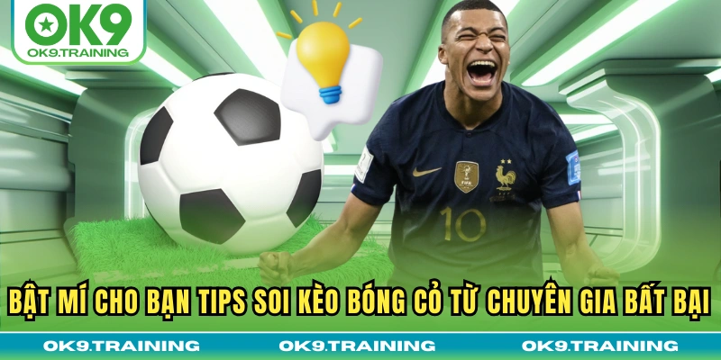 Bật Mí Cho Bạn Tips Soi Kèo Bóng Cỏ Từ Chuyên Gia Bất Bại 10 Bật Mí Cho Bạn Tips Soi Kèo Bóng Cỏ Từ Chuyên Gia Bất Bại